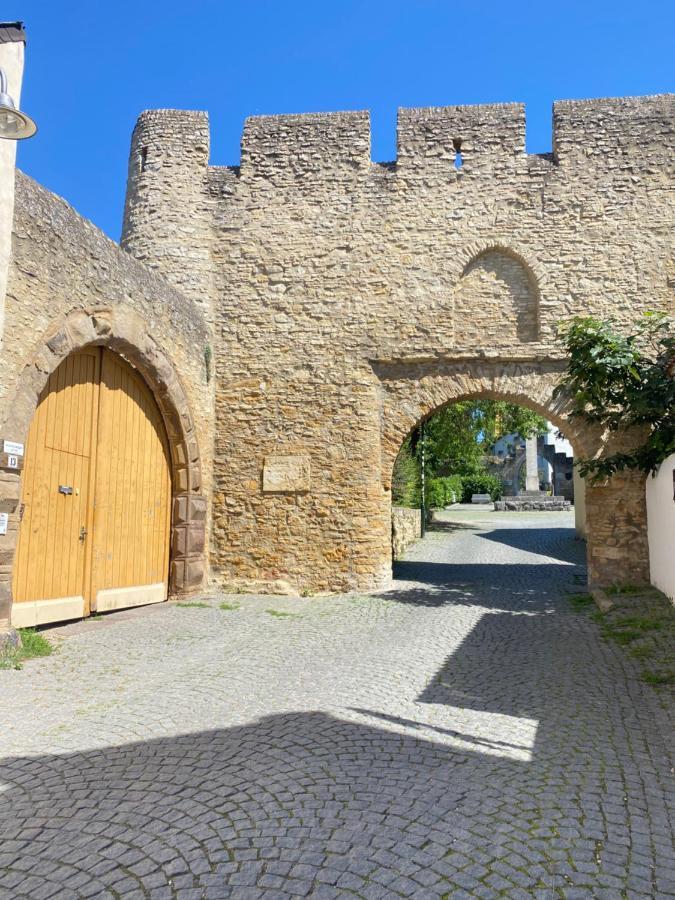 Villa Haeuschen Am Plenzer Ingelheim am Rhein Exterior foto